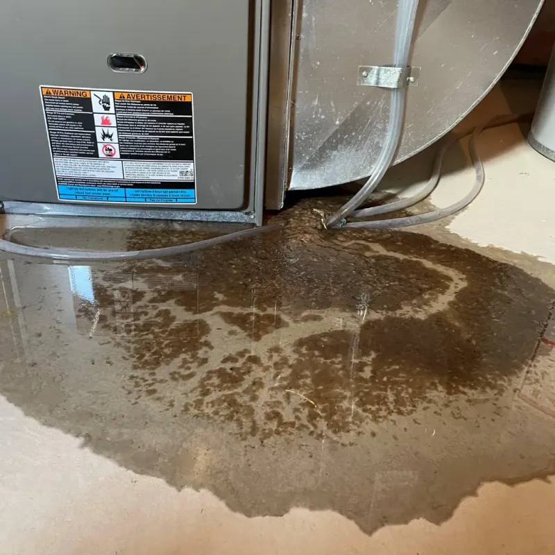 Appliance Leak Cleanup in Appalachia, VA